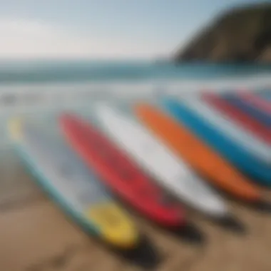 Different types of SUP foil boards displayed side by side for comparison.