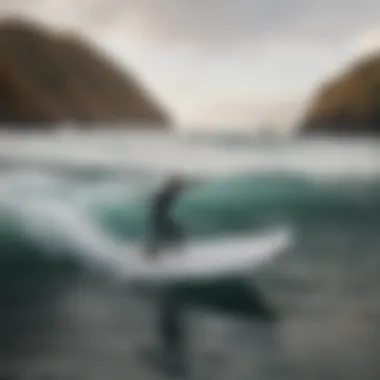 Understanding the FCS 2 Single Fin: Design, Performance, and Applications Summary