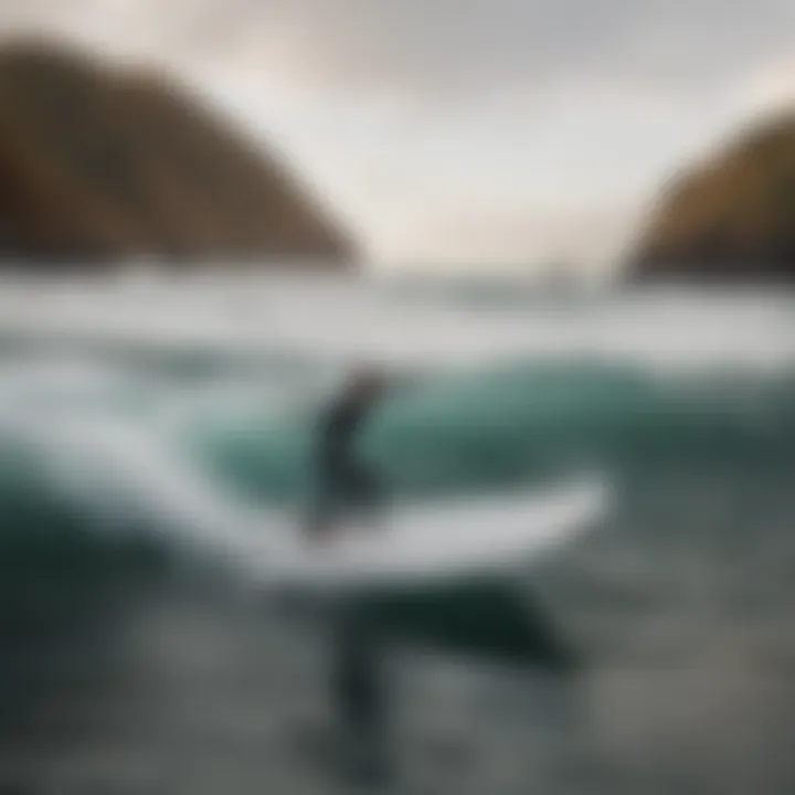 Understanding the FCS 2 Single Fin: Design, Performance, and Applications Summary