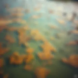 Aerial view of polluted water bodies with visible contaminants